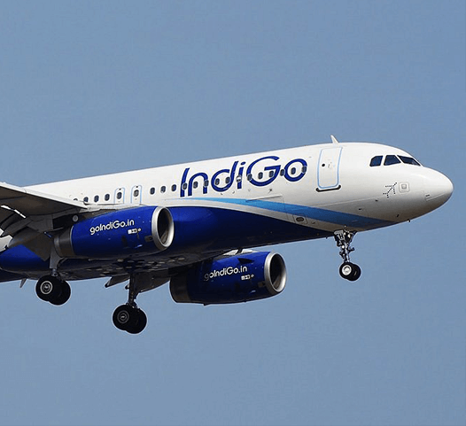 IndiGo